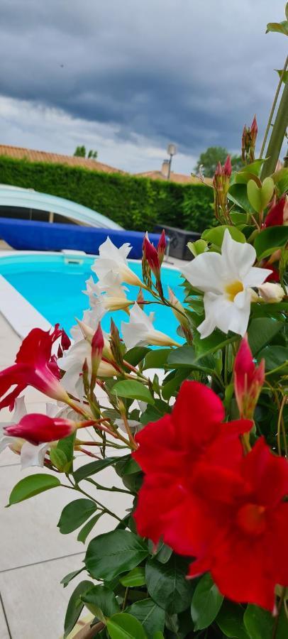 2 logements séparés indépendants jusqu'à 5 personnes, piscine chauffée à 3 min du Puy du Fou Les Épesses Exterior foto